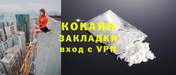 Альфа ПВП Гусев