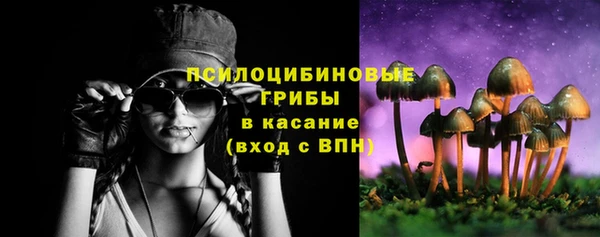 Альфа ПВП Гусев