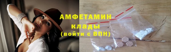 шишки Дмитровск