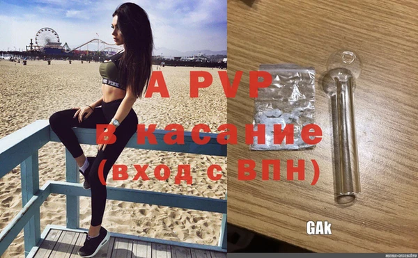 Альфа ПВП Гусев