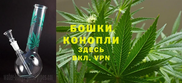 шишки Дмитровск