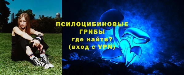 Альфа ПВП Гусев
