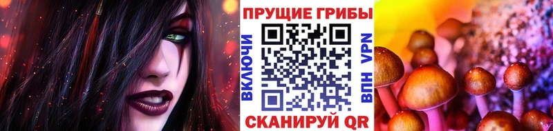 Купить где  Магас  Псилоцибиновые грибы Magic Shrooms 
